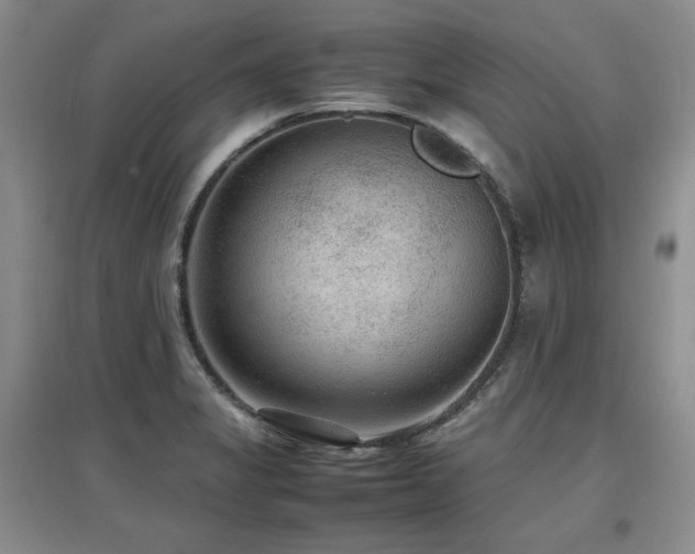 X0000097621325200802291316