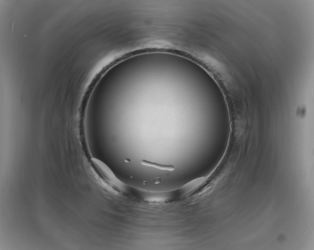 X0000097621326200802291316