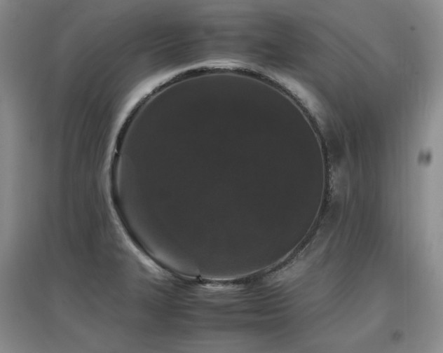 X0000097621327200802291316