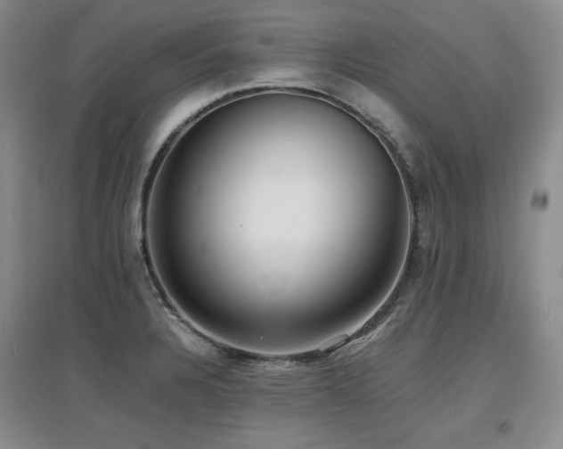 X0000097621328200802291316