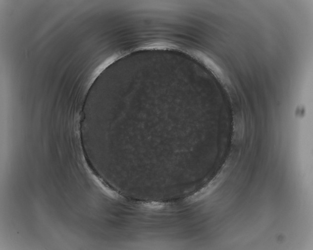 X0000097621329200802291316