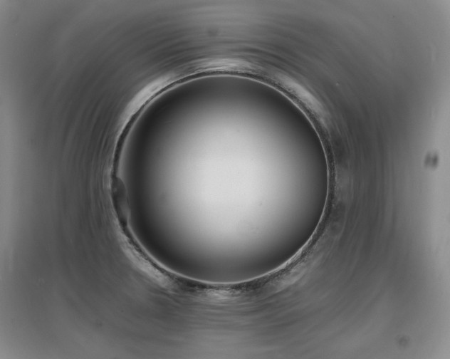 X0000097621330200802291316