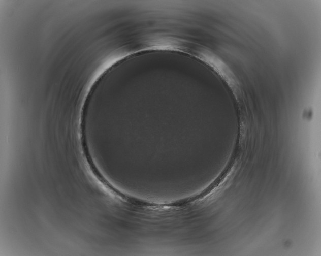 X0000097621331200802291316