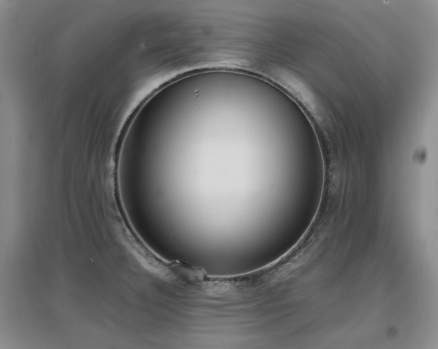X0000097621332200802291316