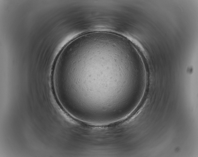 X0000097621333200802291316
