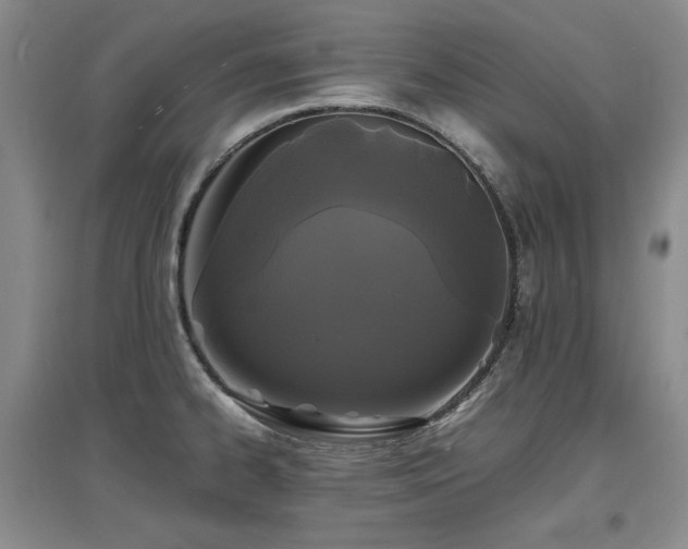 X0000097621334200802291316