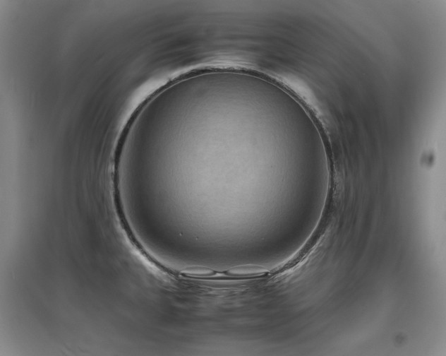 X0000097621335200802291316