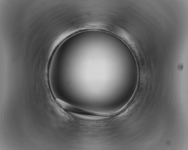 X0000097621336200802291316