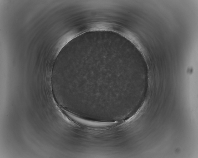 X0000097621337200802291316