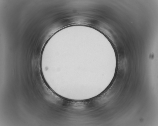 X0000097621338200802291316