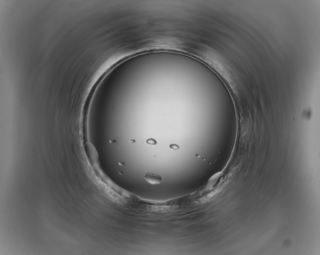 X0000097621339200802291316