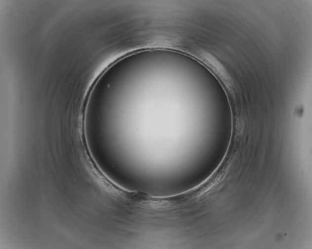 X0000097621340200802291316
