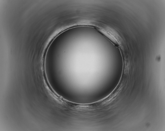X0000097621342200802291316
