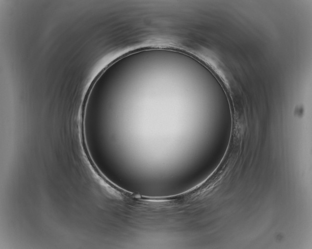 X0000097621343200802291317