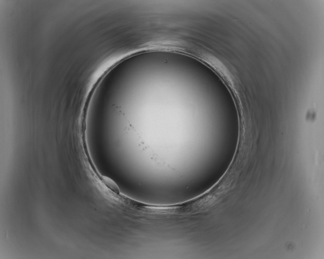 X0000097621344200802291317