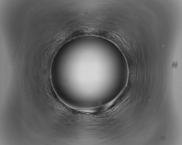X0000097621345200802291316