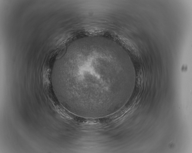 X0000097621346200802291316