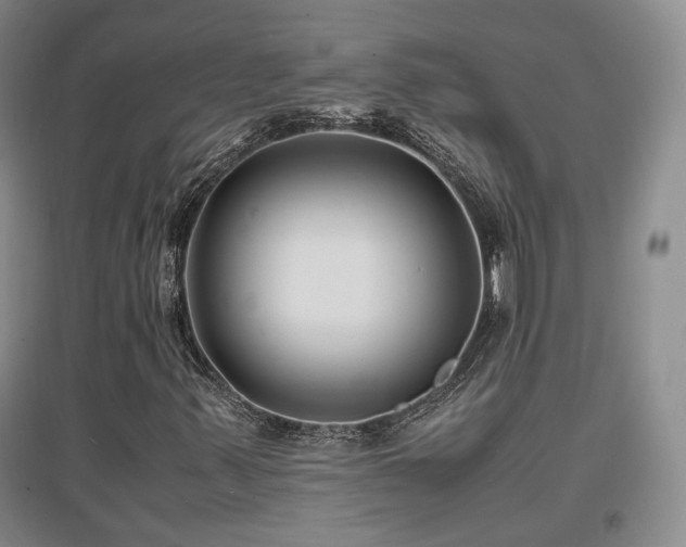X0000097621347200802291316