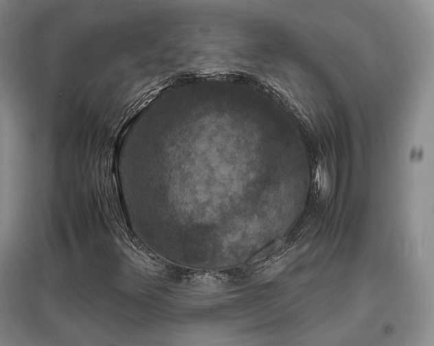 X0000097621348200802291316