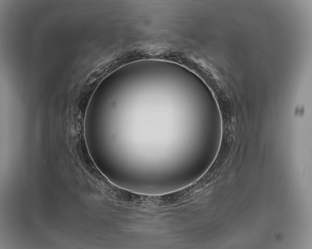 X0000097621349200802291316
