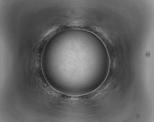 X0000097621350200802291316