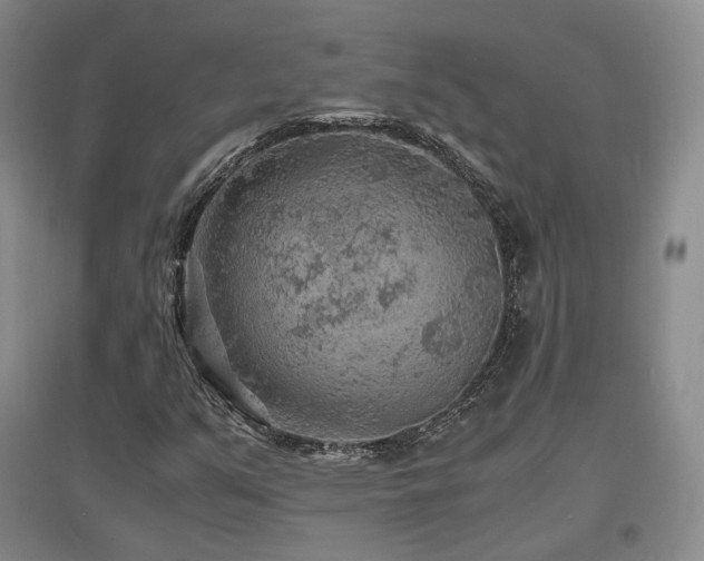 X0000097621351200802291316