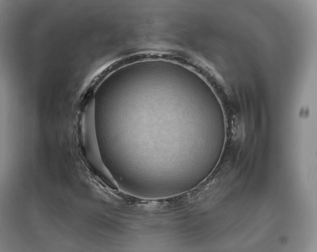 X0000097621352200802291316