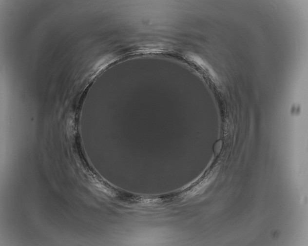 X0000097621353200802291316