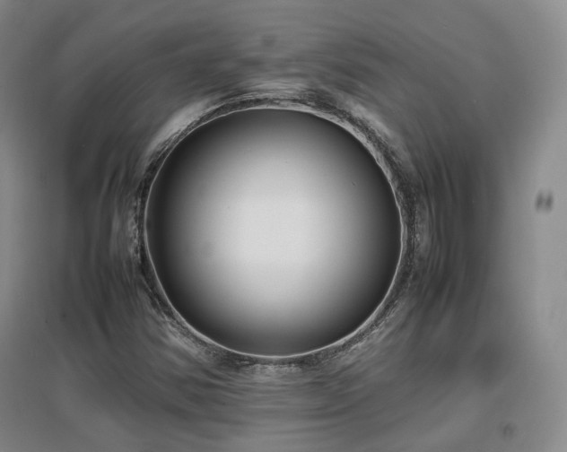 X0000097621354200802291316