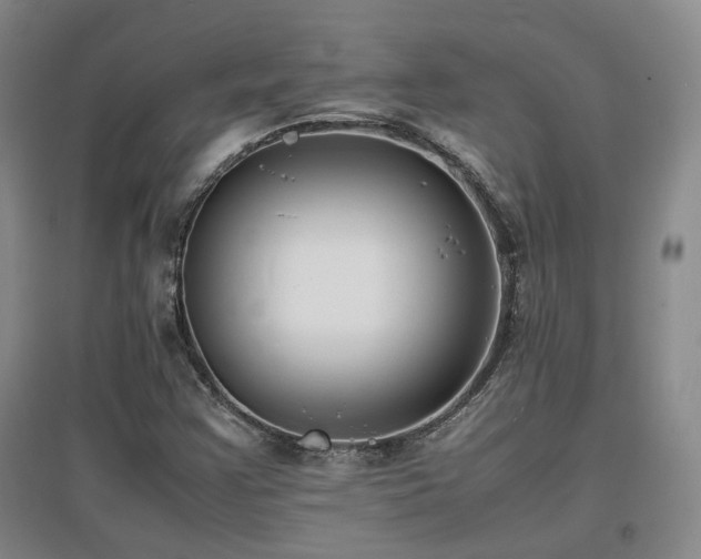 X0000097621355200802291316