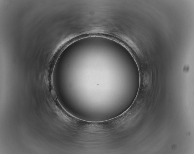 X0000097621356200802291316