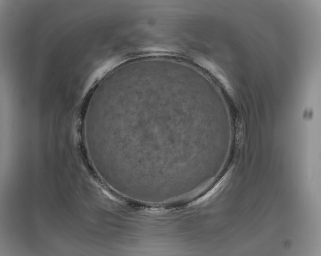 X0000097621357200802291316