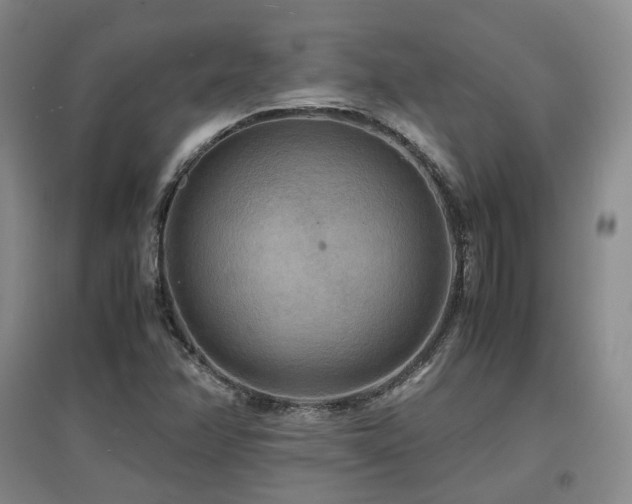 X0000097621358200802291316