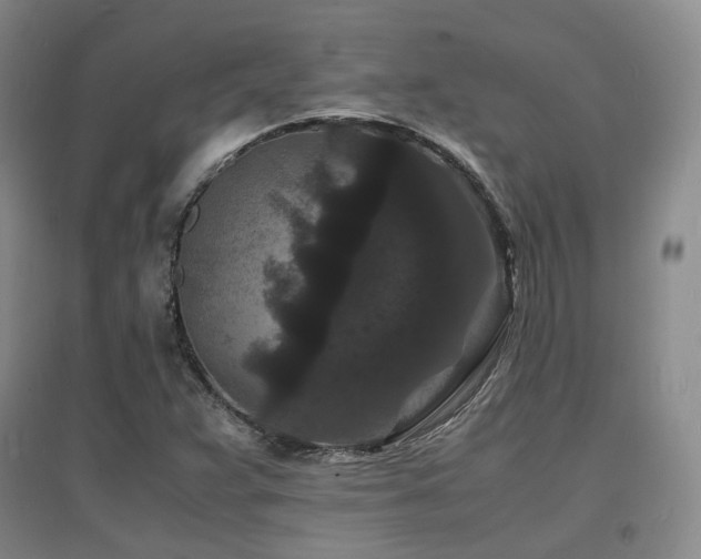 X0000097621359200802291316