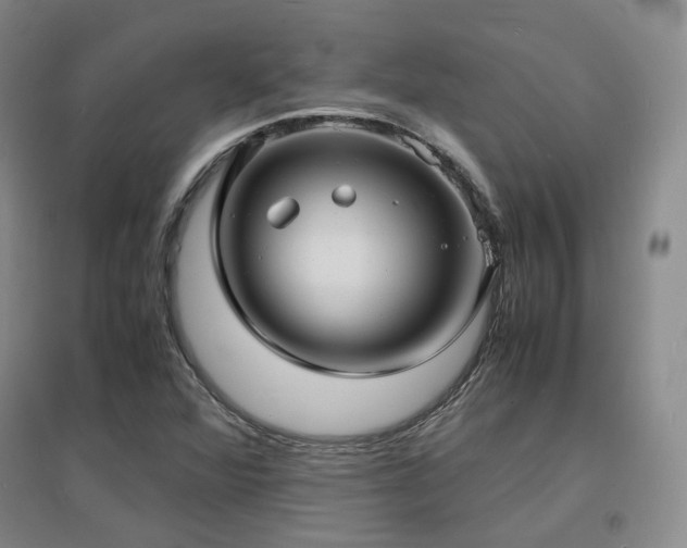 X0000097621360200802291316