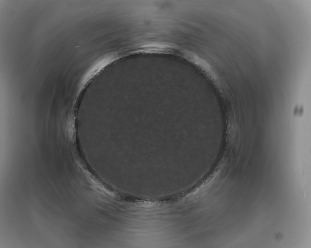 X0000097621362200802291316