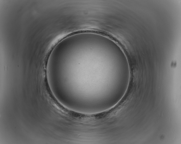 X0000097621363200802291316