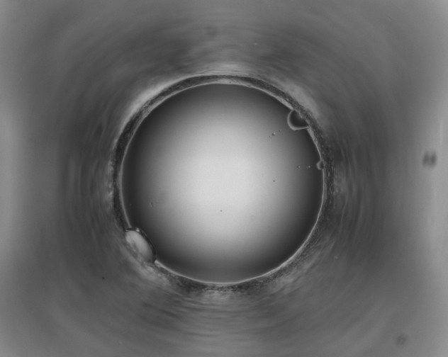X0000097621364200802291316