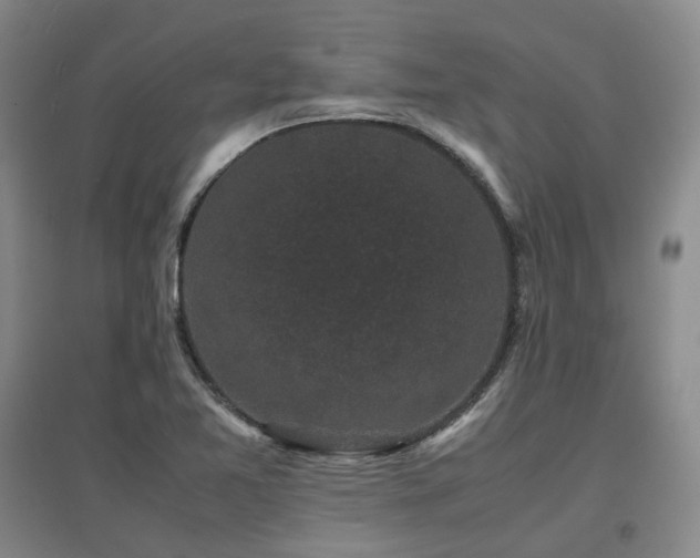 X0000097621365200802291316