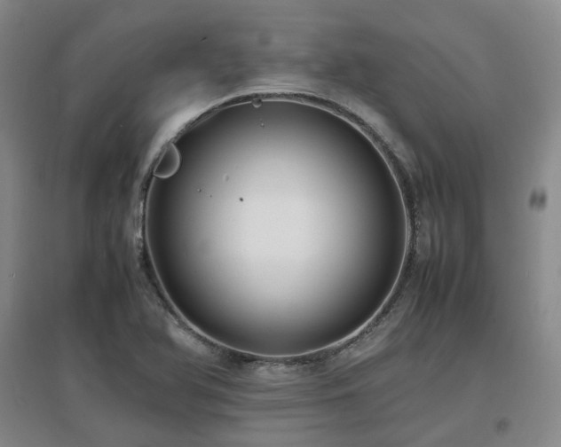 X0000097621366200802291315