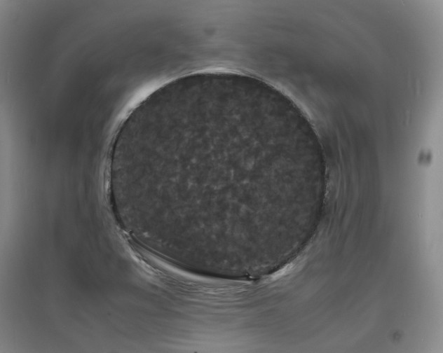 X0000097621367200802291315