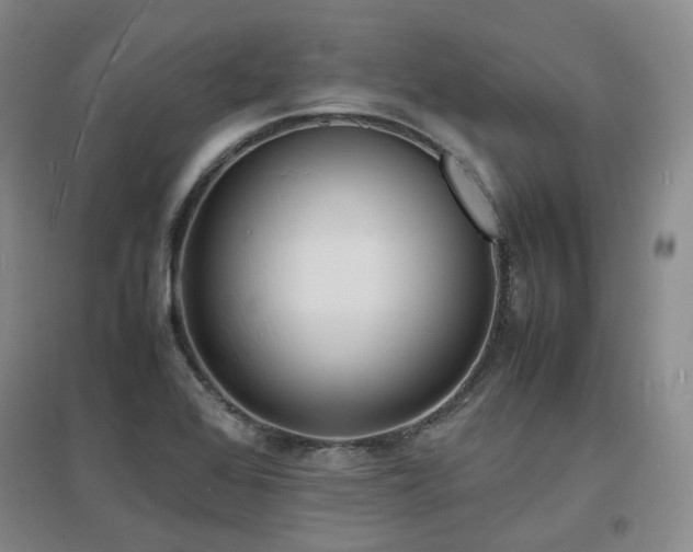 X0000097621368200802291315