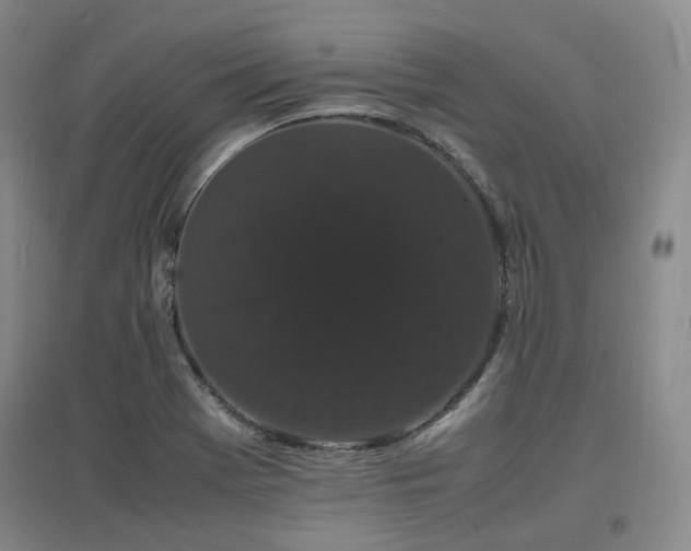 X0000097621369200802291315