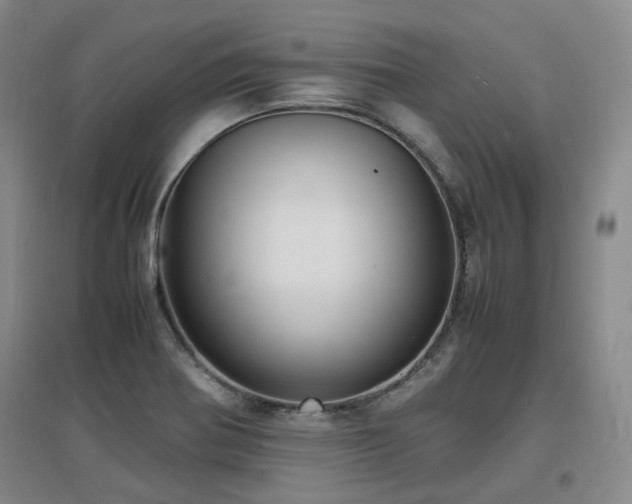 X0000097621370200802291315