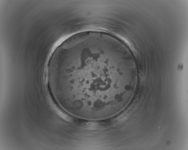 X0000097621371200802291315