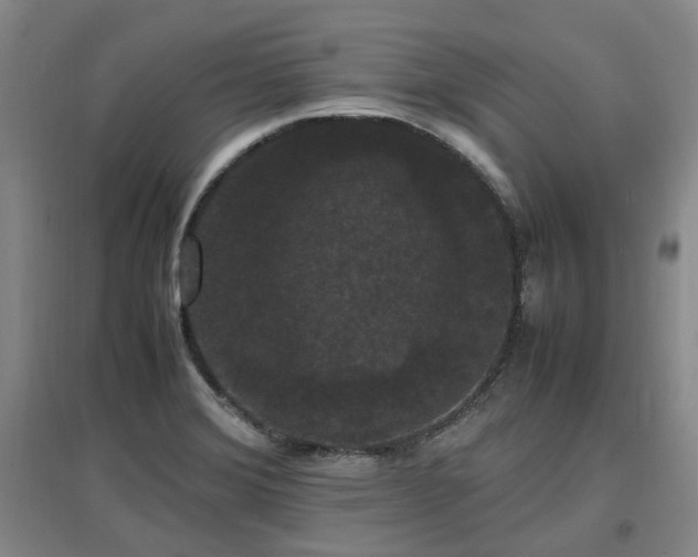 X0000097621372200802291315