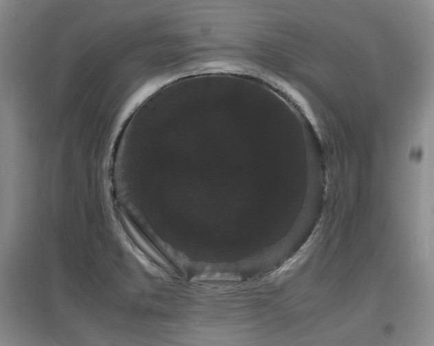 X0000097621373200802291315