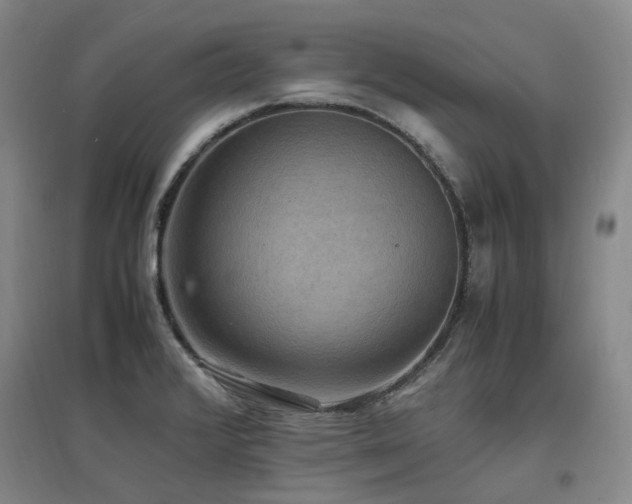 X0000097621376200802291315
