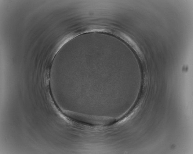 X0000097621377200802291315