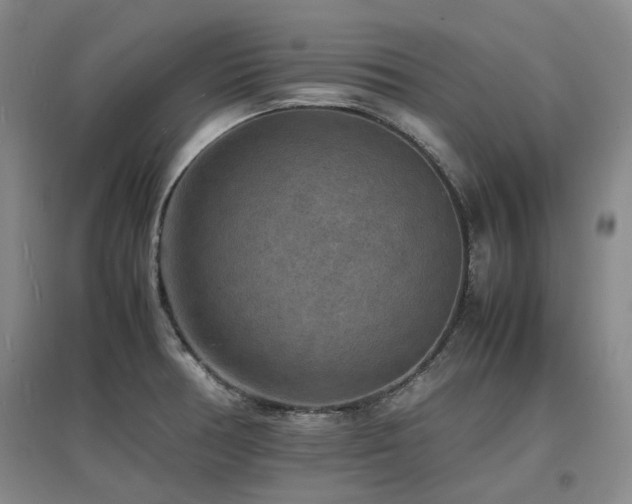 X0000097621378200802291315